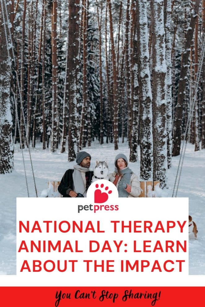 National Therapy Animal Day