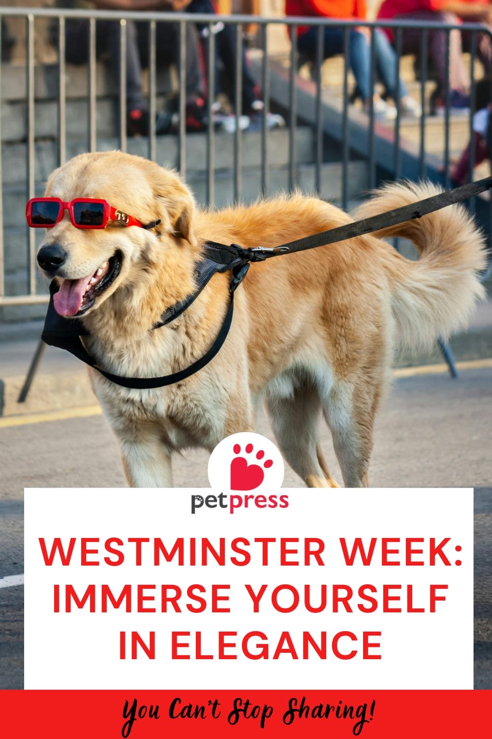 Westminster Week
