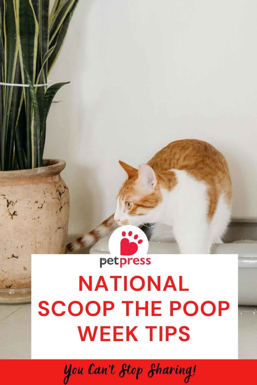 National Scoop the Poop Week Tips PetPress