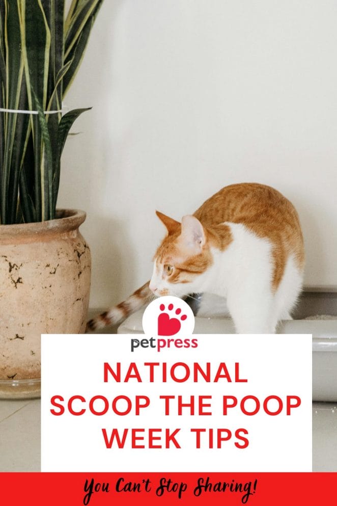 National Scoop the Poop Week