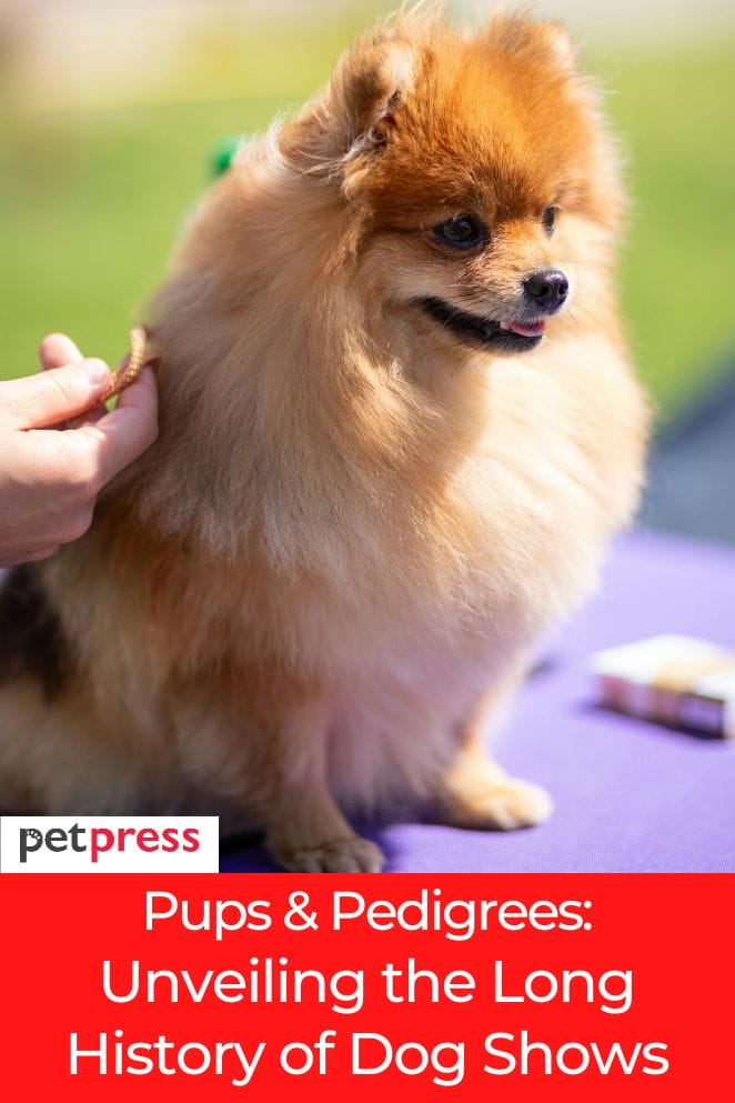 Pups & Pedigrees Unveiling the Long History of Dog Shows
