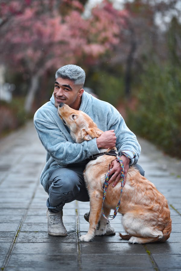 outdoor-activities-for-golden-retriever