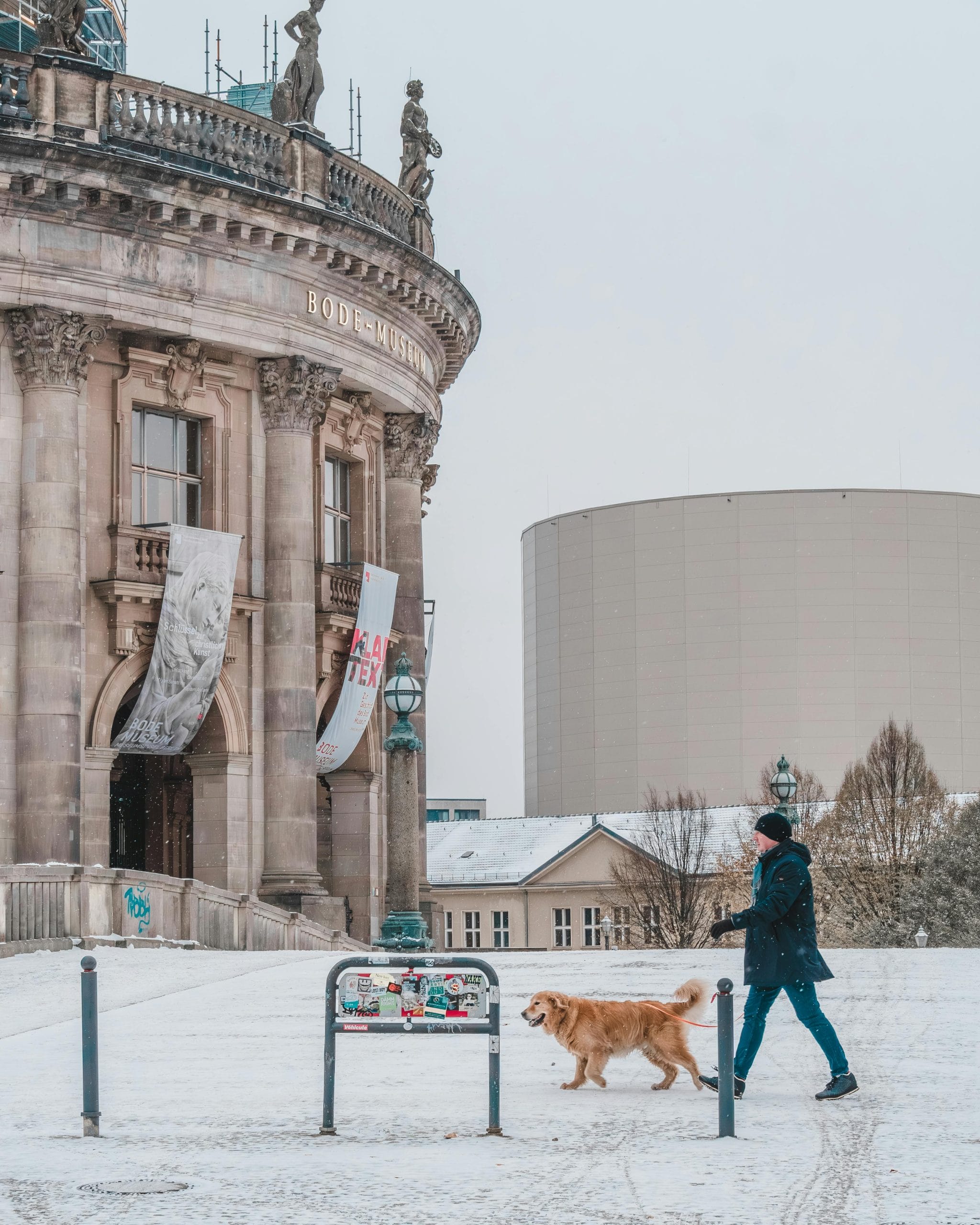 Dog Ownership Laws by State