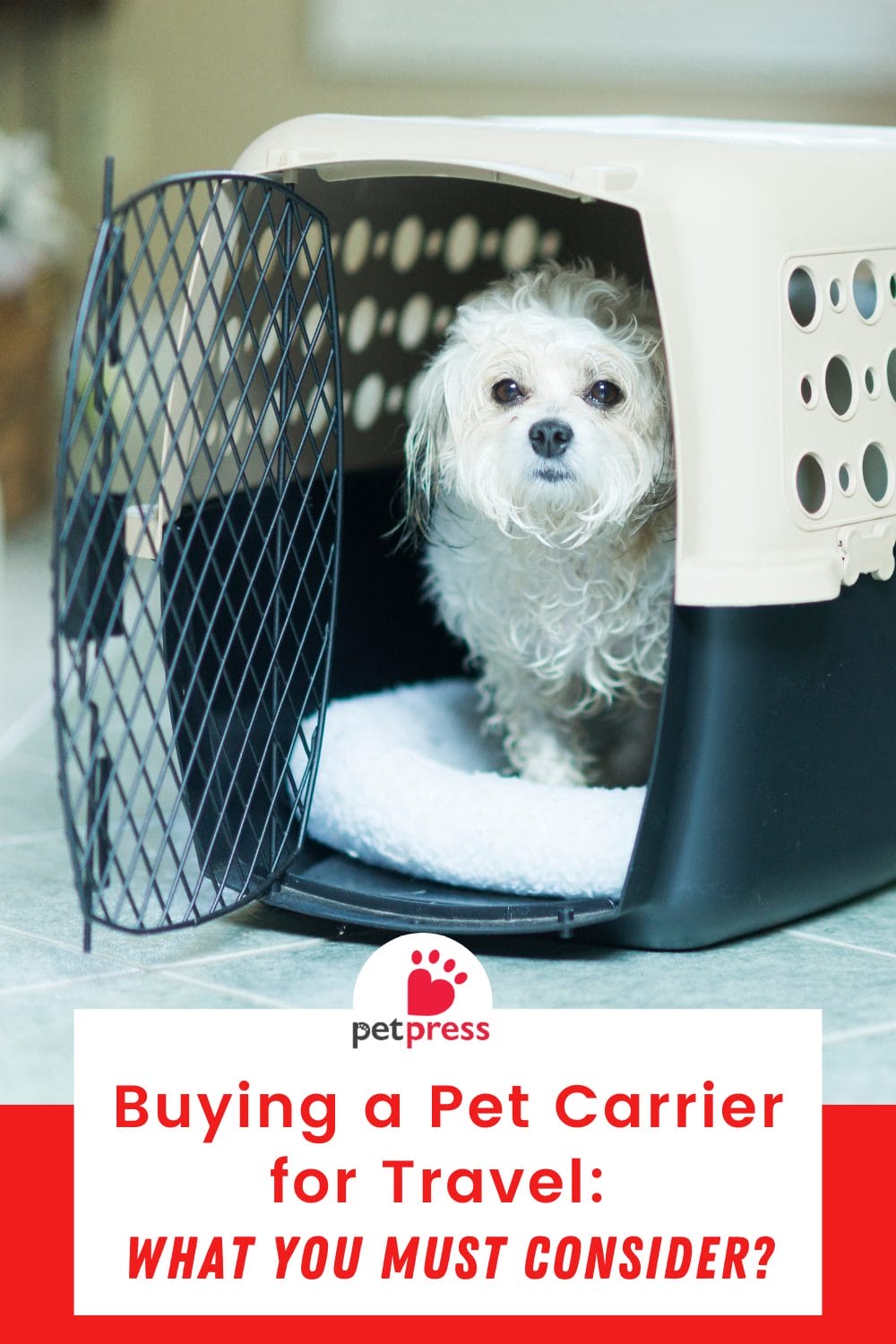 Buying a Pet Carrier for Travel: What You Must Consider?