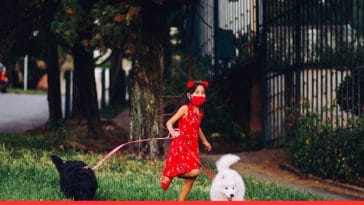 Guard Dog Breeds For Kids