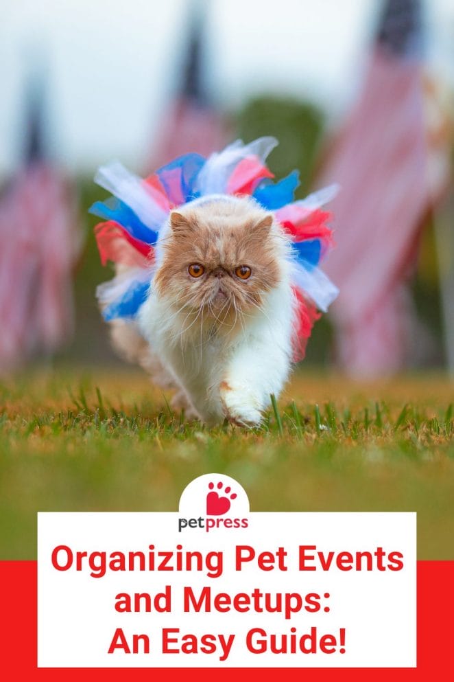 Organizing Pet Events and Meetups