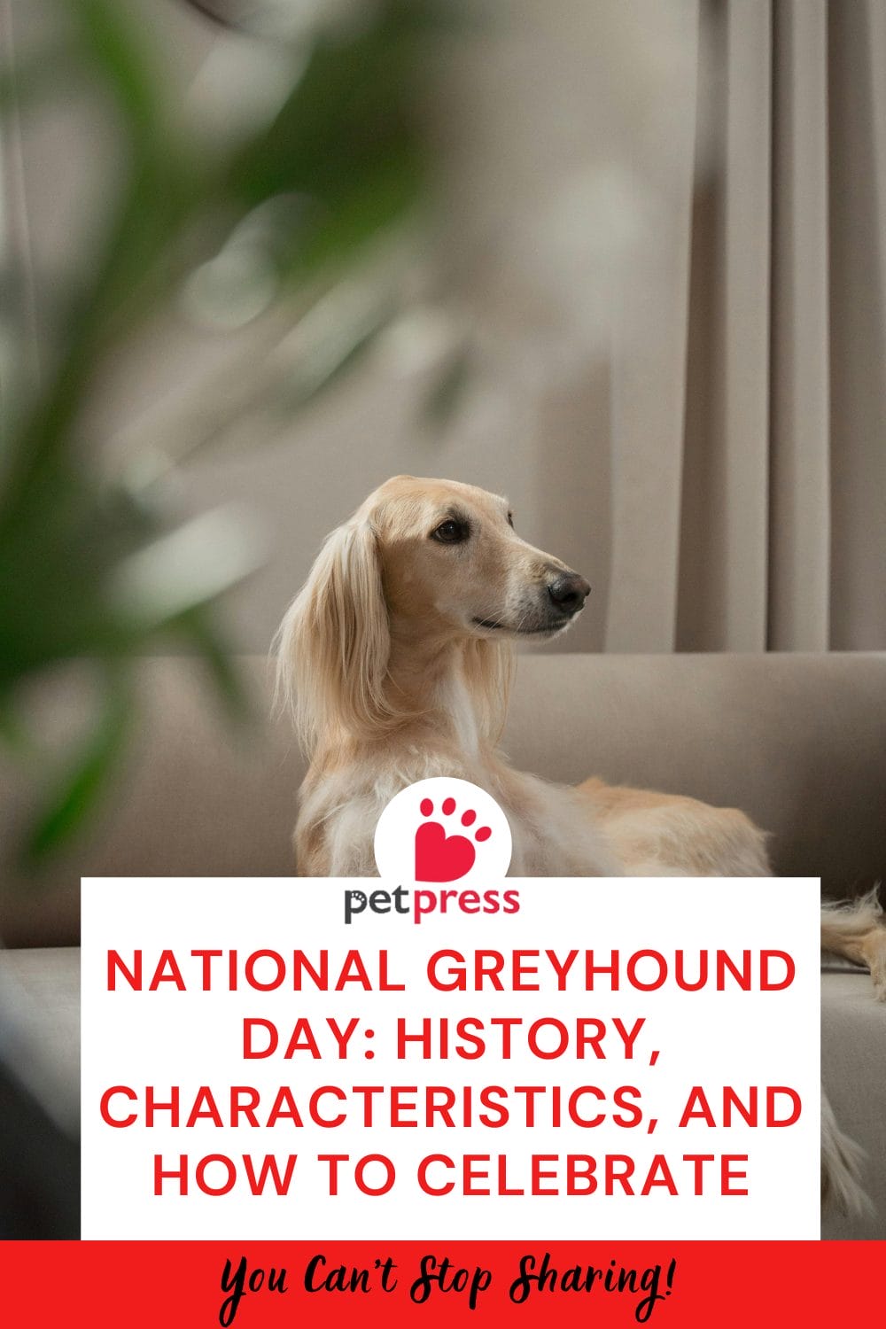 National Greyhound Day