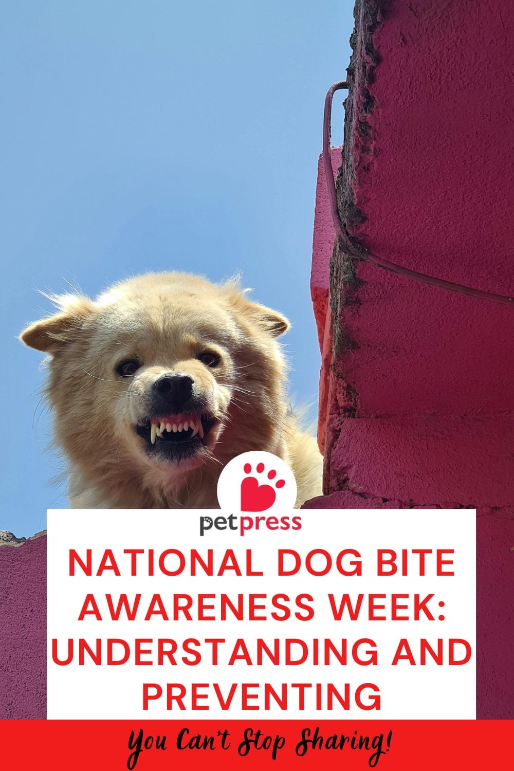 National Dog Bite Awareness Week