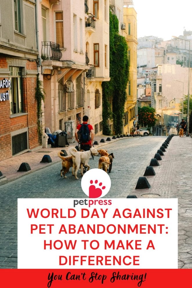 World Day Against Pet Abandonment