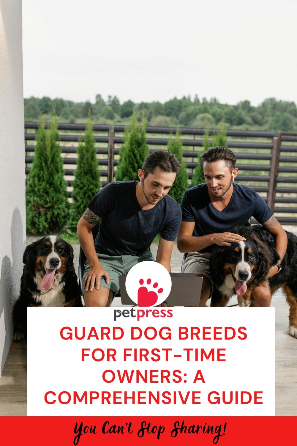 Guard Dog Breeds for First-Time Owners