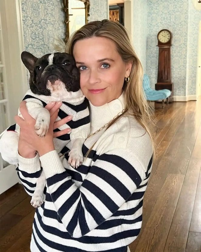 Reese-Witherspoon-frenchie