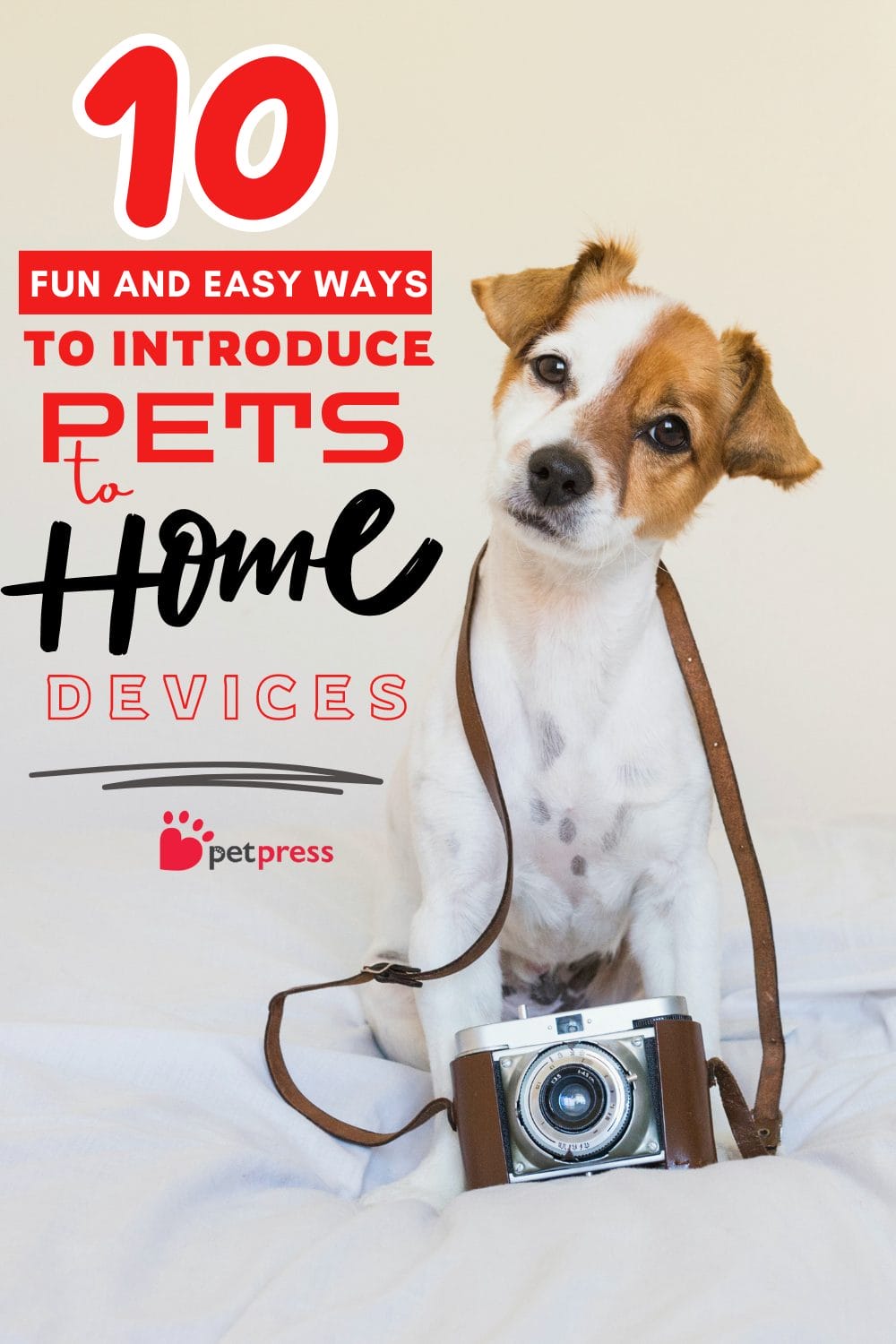 10 Fun and Easy Ways to Introduce Pets to Smart Home Devices