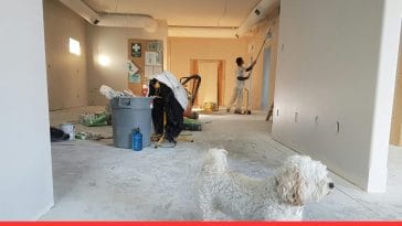 Guard Dog Breeds for Apartments