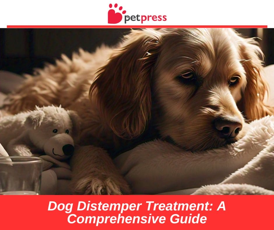 Dog Distemper Treatment: A Comprehensive Guide - PetPress