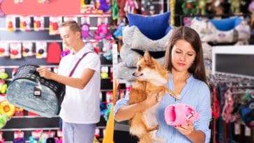 Outdoor Dog Supplies