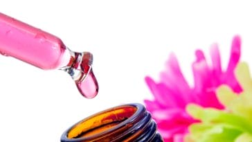 Home Remedies for Dog Wheezing