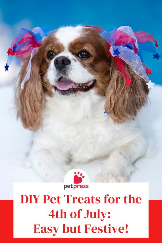 DIY Pet Treats for the 4th of July