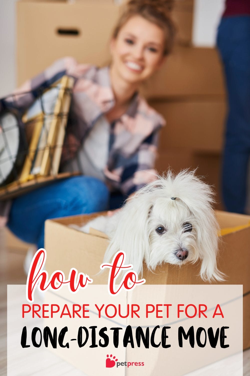 How to Prepare Your Pet for a Long-Distance Move