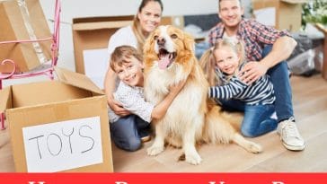 How to Prepare Your Pet for a Long-Distance Move