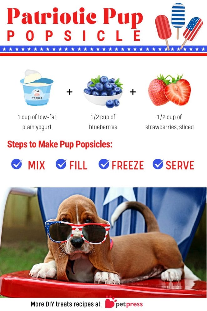 Patriotic Pup Popsicles recipe dog July 4