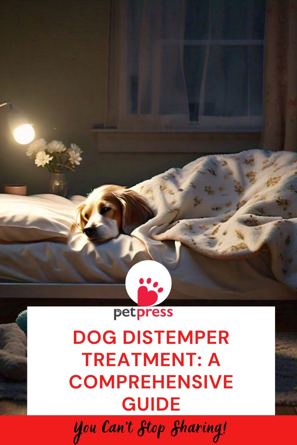 Dog Distemper Treatment