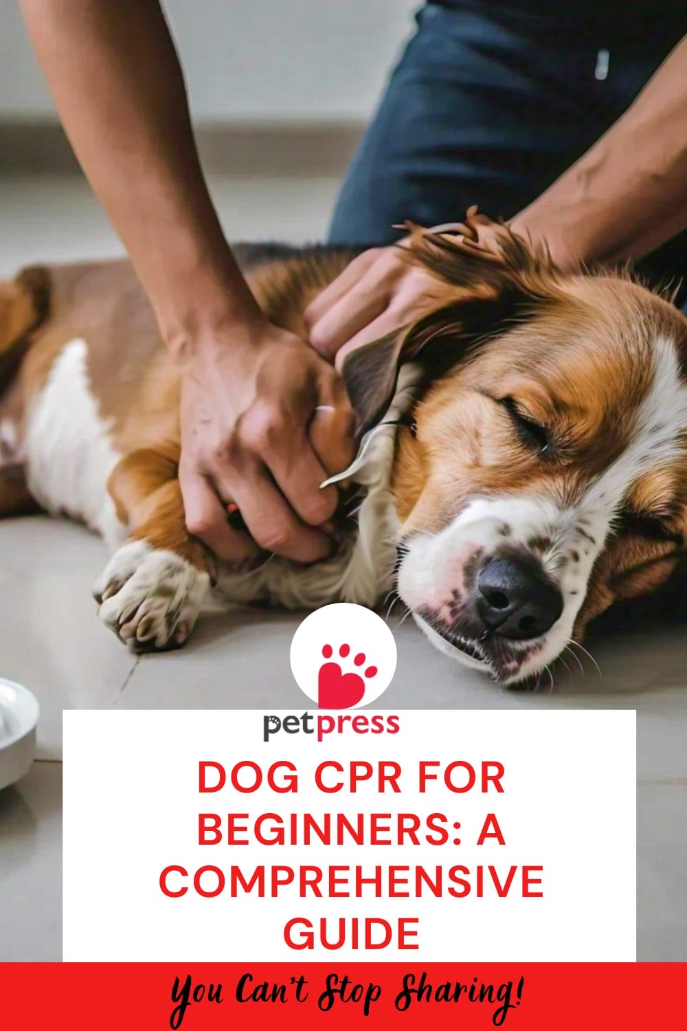 Dog CPR for Beginners