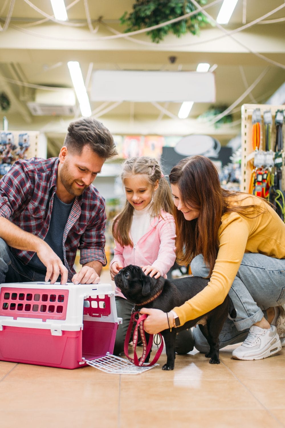 Outdoor Dog Supplies