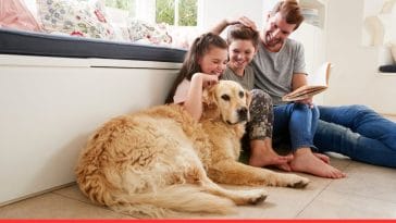 Plan Ahead Setting up a Pet Will or Trust Made Easy