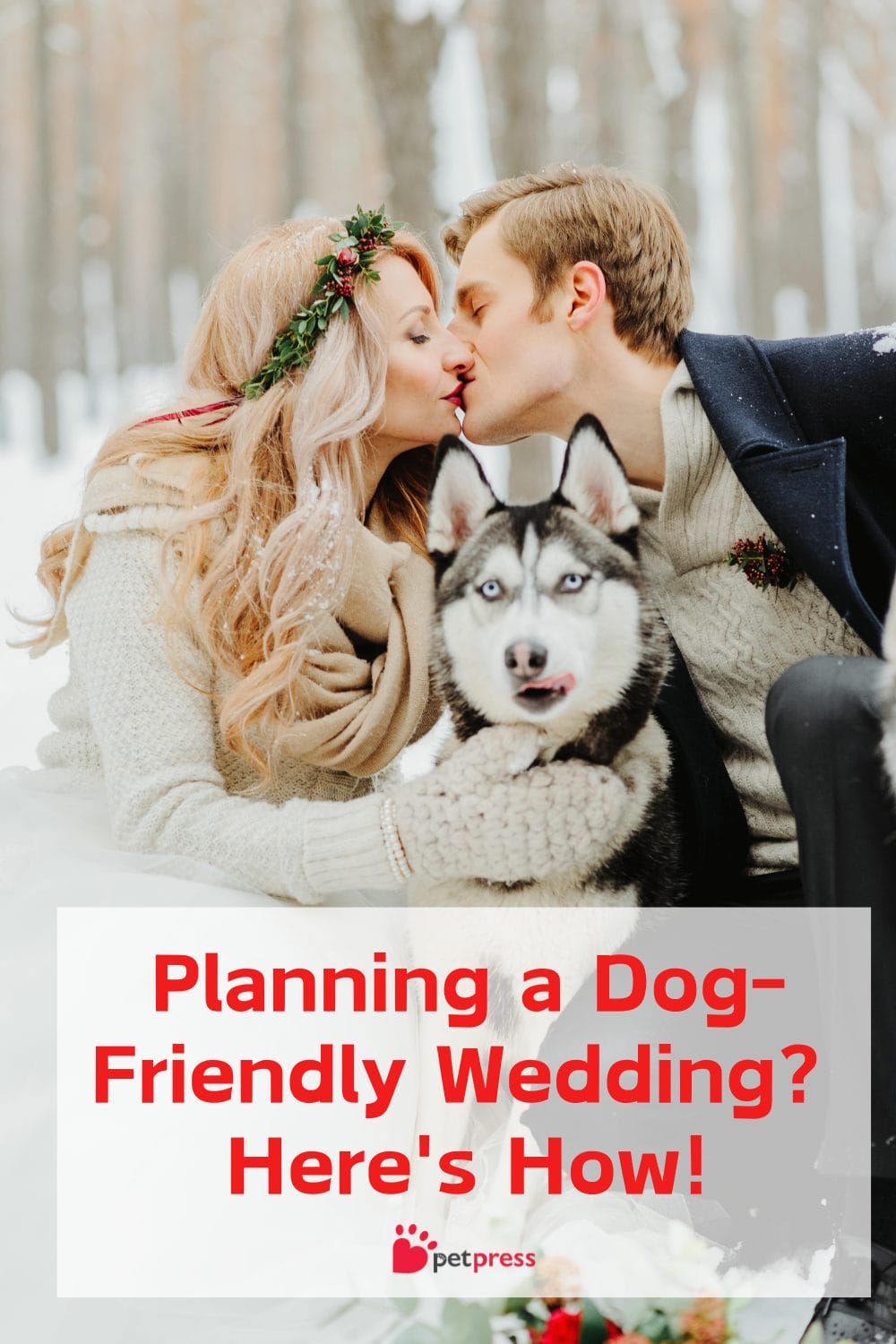 Planning a Dog-Friendly Wedding
