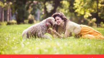 The Benefits of Pet Ownership on Mental Health