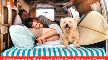 Ultimate Travel Kit for Your Pet: 5 Must-Have Items