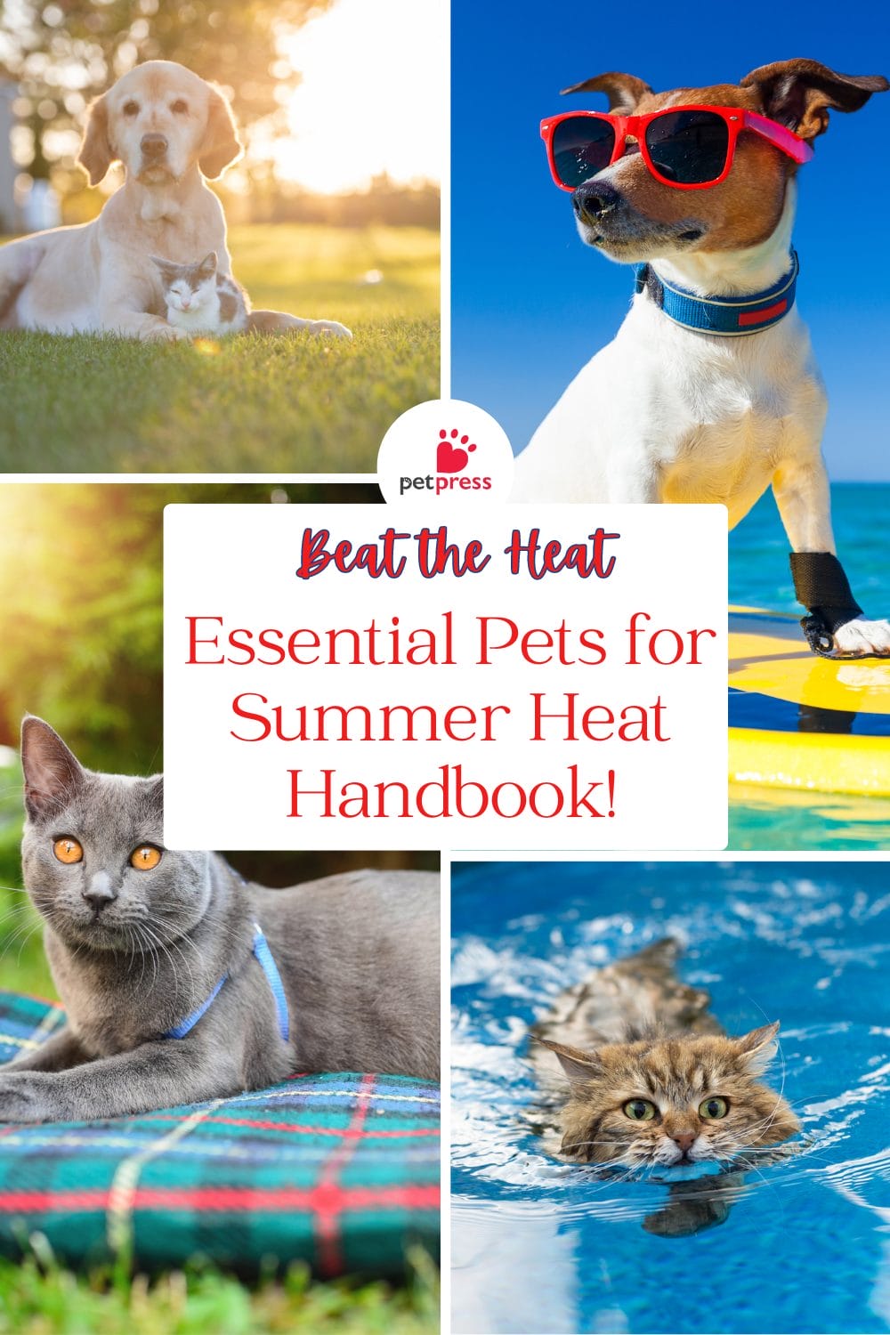 Essential Pets for Summer Heat Handbook