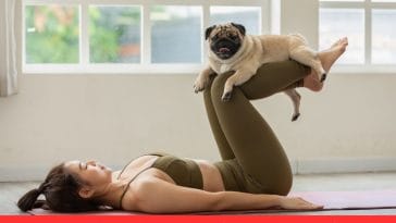 Pets in Fitness Routines