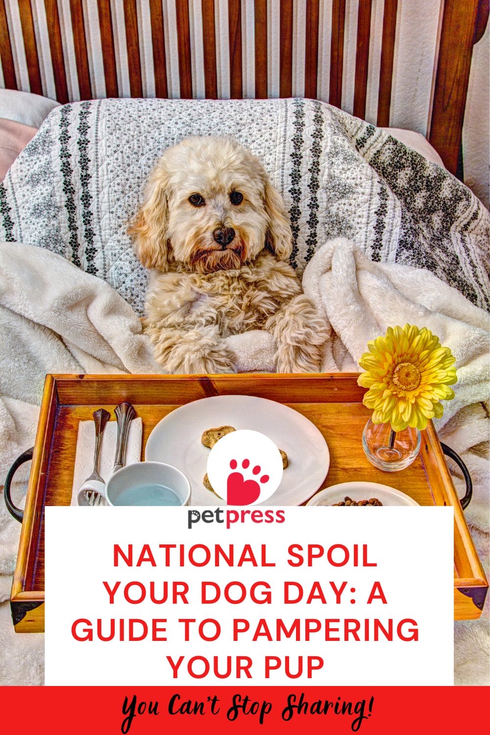 National Spoil Your Dog Day