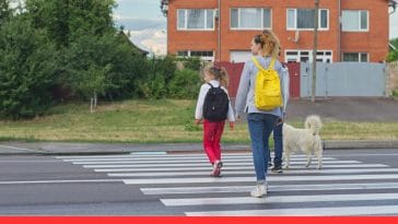 Safe Walks 5 Tips for Walking Your Dog During School Drop-Offs