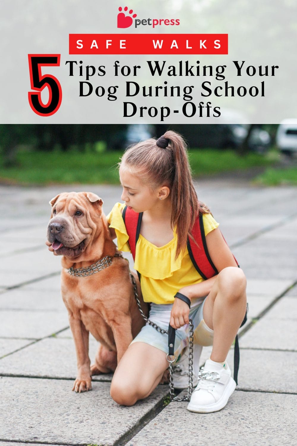 Tips for Walking Your Dog During School Drop-Offs