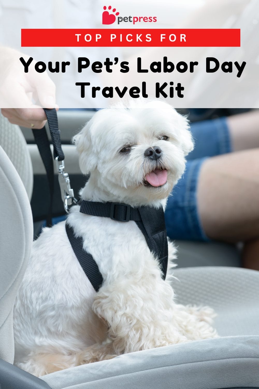 Your Pet’s Labor Day Travel Kit