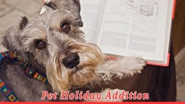 National Schnauzer Day