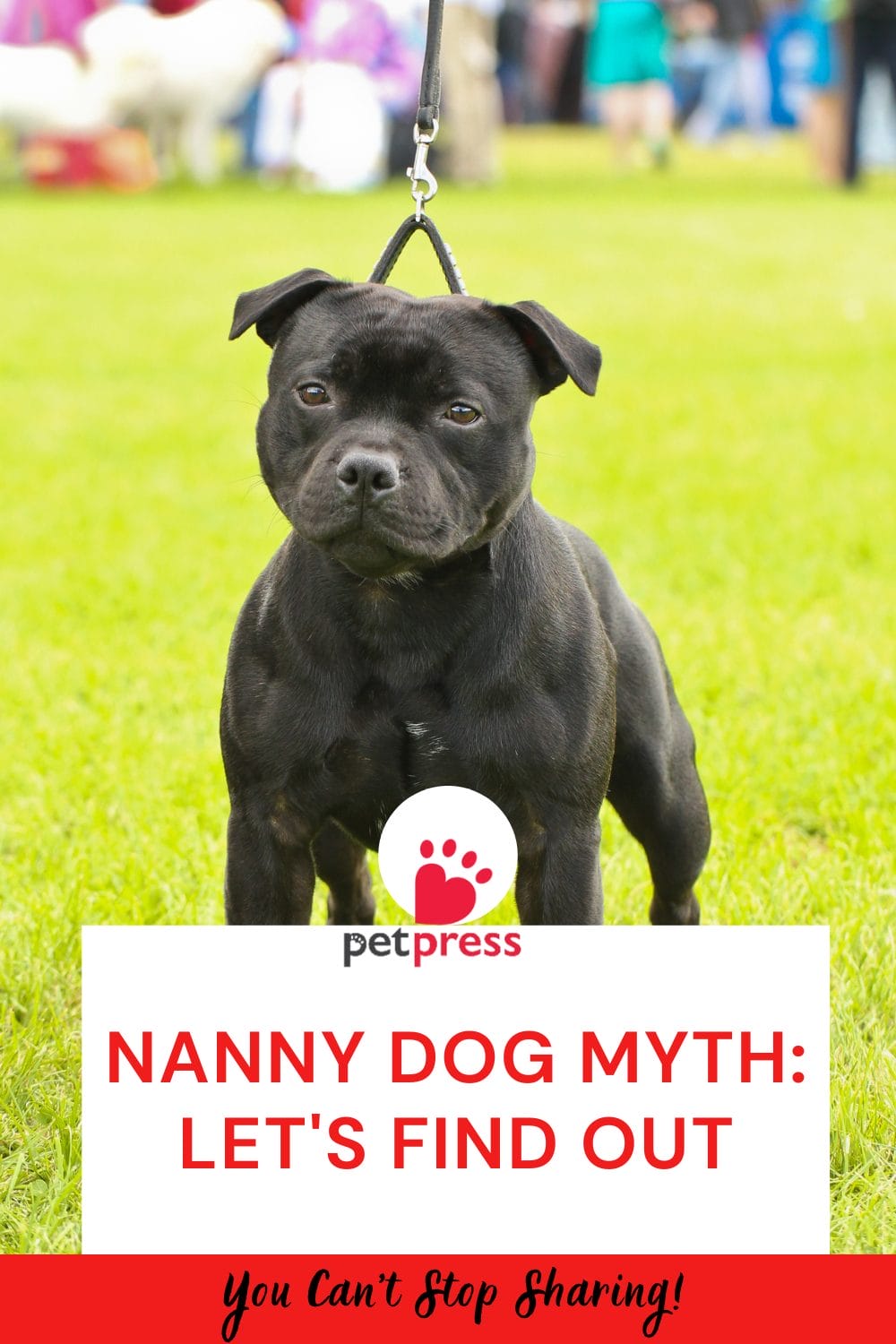 Nanny Dog Myth