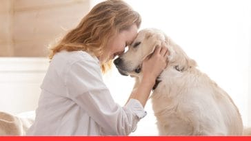 The Truth About Pet Psychics: Can They Really Communicate with Animals?