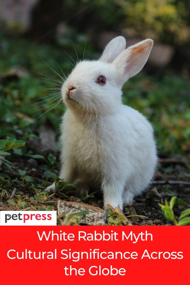 White Rabbit Myth: Cultural Significance Across the Globe