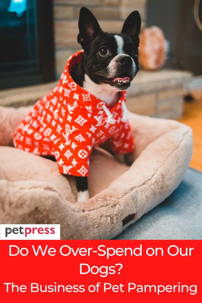 the business of pet pampering