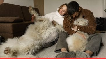 Independent Dog Breeds