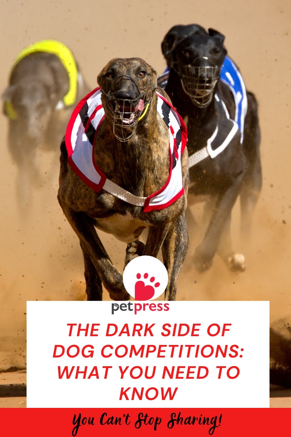 The Dark Side of Dog Competitions