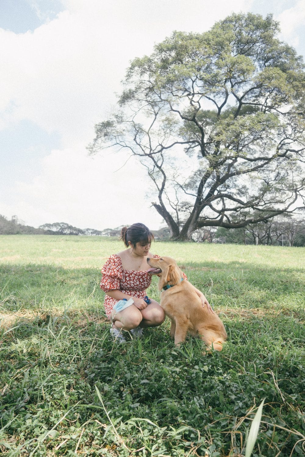 Time-Saving Tips for Busy Dog Owners