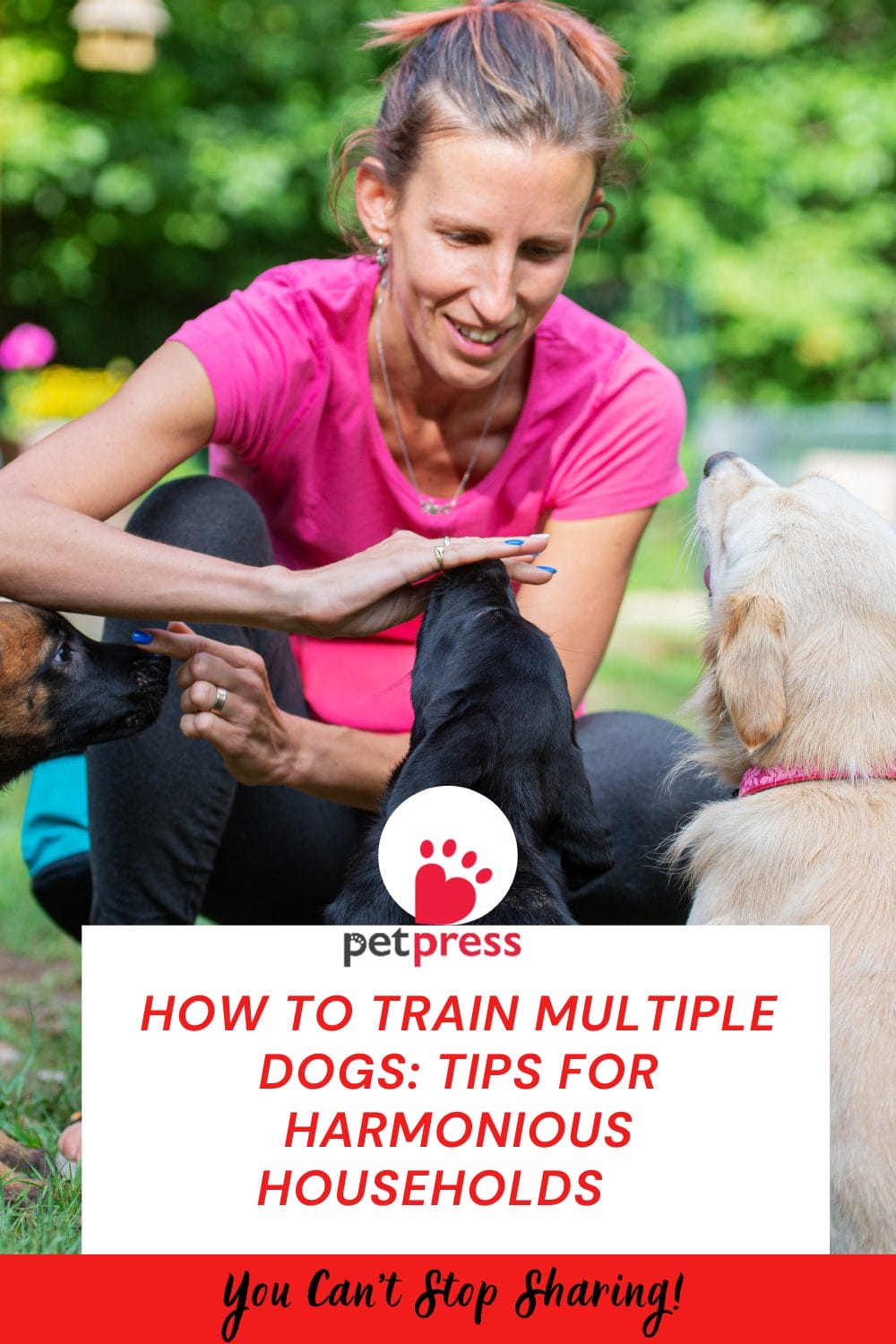 How to Train Multiple Dogs