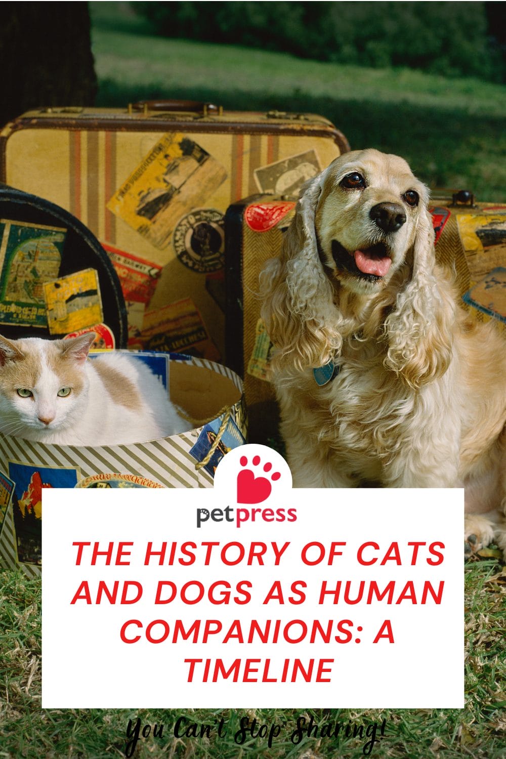 History of Cats and Dogs as Human Companions