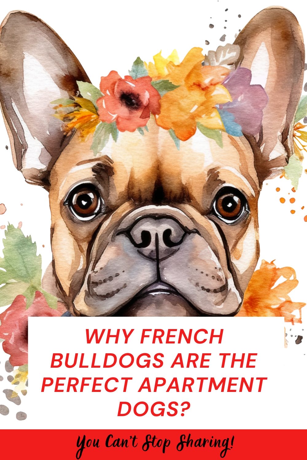 French Bulldogs Are the Perfect Apartment Dogs
