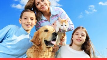 Cat and Dog Breeds for Families