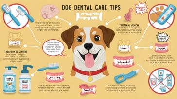 dog-dental-care-tips